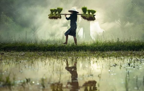 回歸鄉村，方知幸福 【輕鋼別墅】(圖3)