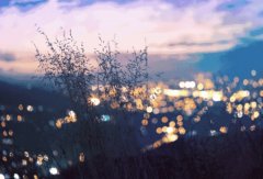 輕鋼別墅: 遠離城市喧囂，獨享一方寧靜